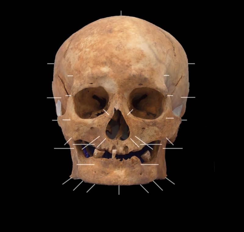 skeleton1.jpg