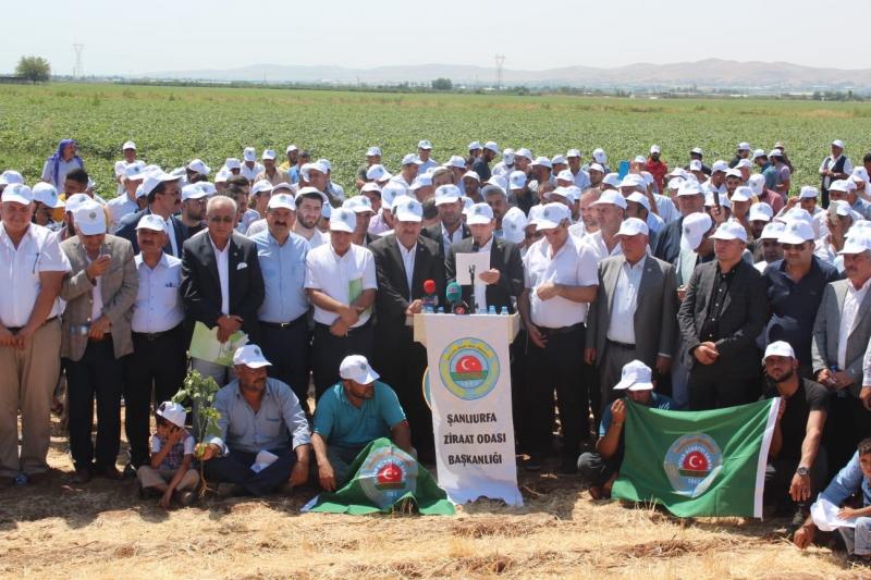 Diyarbakır çiftçi-.jpeg