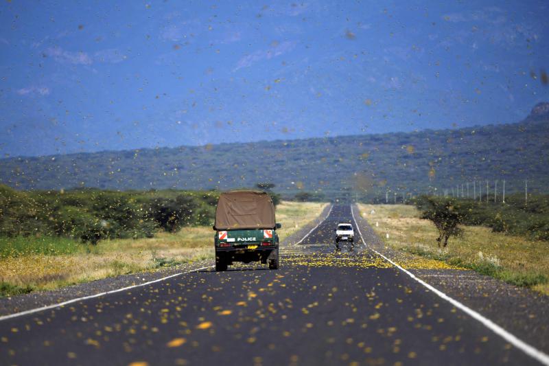 afp kenya.jpg