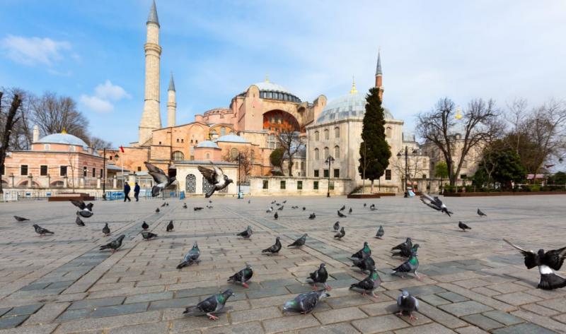 İstanbul boş martılar Twitter Ali Yerlikaya.jpg