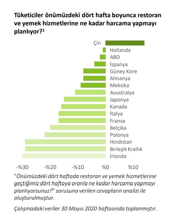 Deloitte restoran rapor.jpg