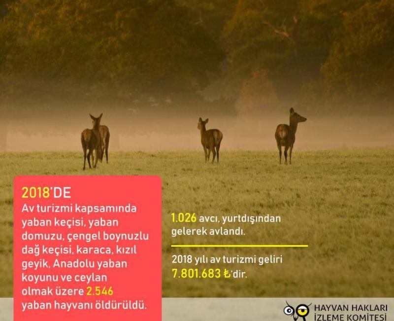 hayvanseverler cezai yaptirimlari