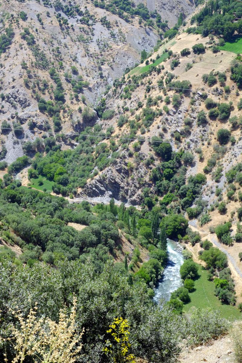 DSCF2697.JPG