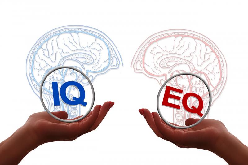 IQ ve EQ zeka duygusal zeka Pixabay.jpg