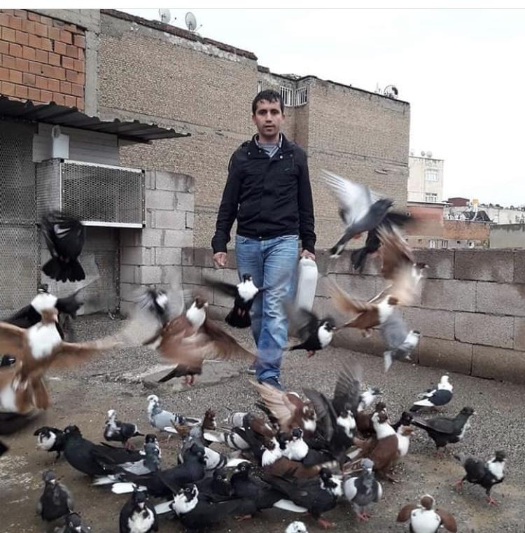 eski bir gelenegi surduren kusbazlar independent turkce