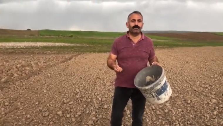 Orhan Çelebi