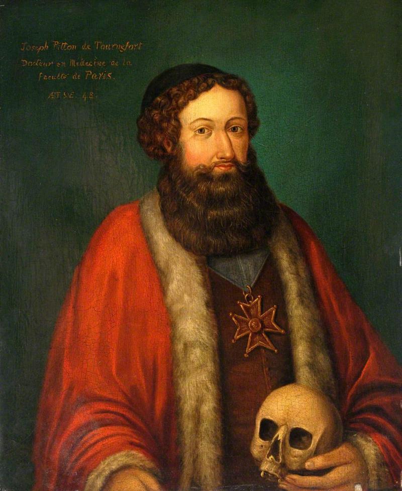 Joseph Pitton de Tournefort.jpg