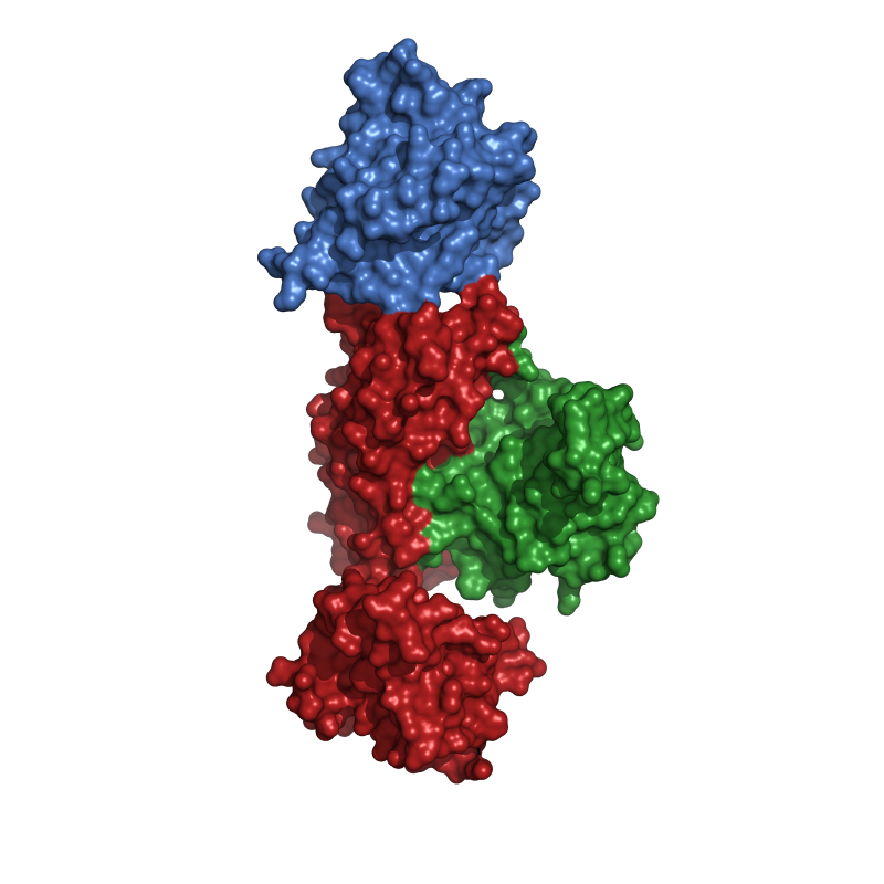 Kirmizi kontrol altindaki protein. Yesil onun baglandigi baska protein. Mavi olan da LOV2 domain kirmizi proteine entegre edilmis halde.png