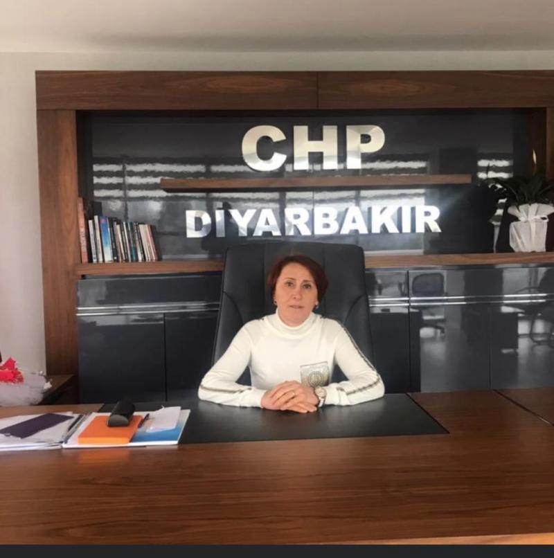 CHP Diyarbakır İl Başkanı Gönül Özer.jpg