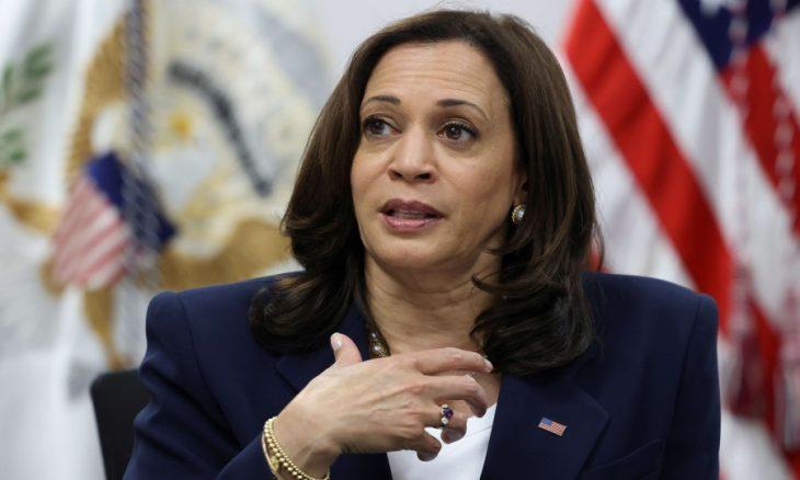 Başkan Yardımcısı Kamala Harris'in Biden'ın yerine geçeceği yolunda varsayımlar var. .jpg