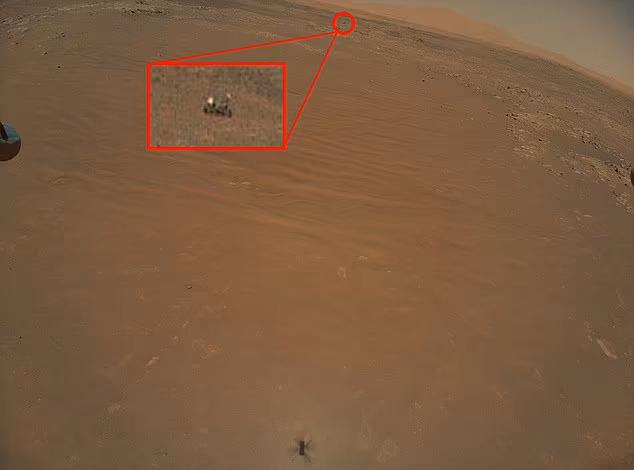 46589977-9886603-image-a-21_1628756373854.jpg