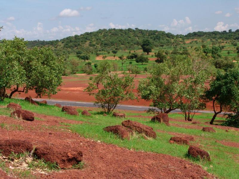 Mali'nin zengin toprakları.jpg