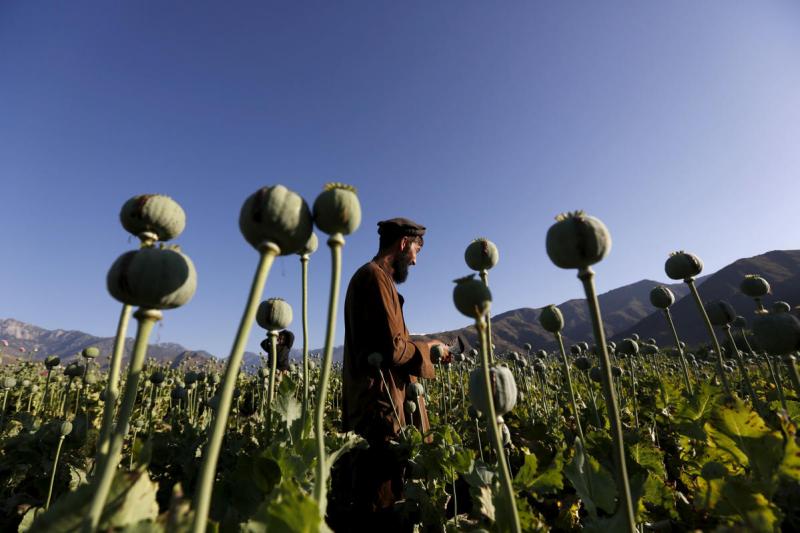 Afganistan Reuters