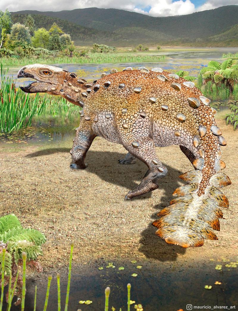 Balta kuyruklu dinozor.jpg
