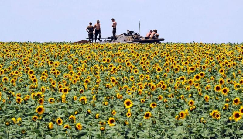 ukrayna ayçiçeği asker AFP