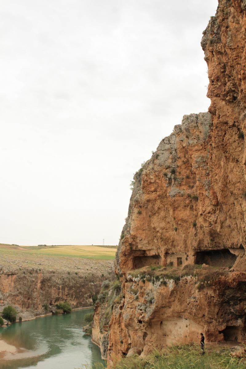 Şeyhmus Çakırtaş (5).JPG
