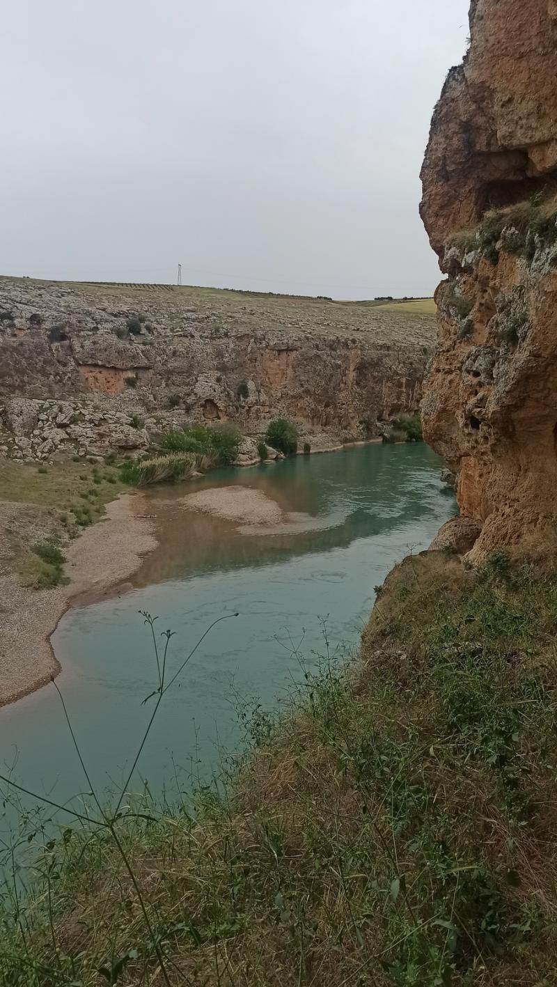 Şeyhmus Çakırtaş (8).jpg