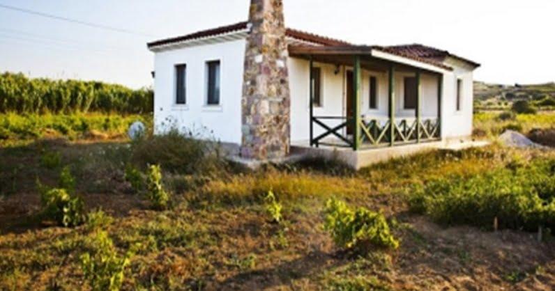 tarlaevi.jpg