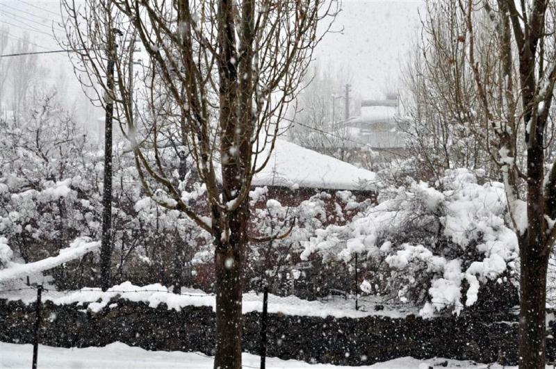Karlıova'da kış.jpg