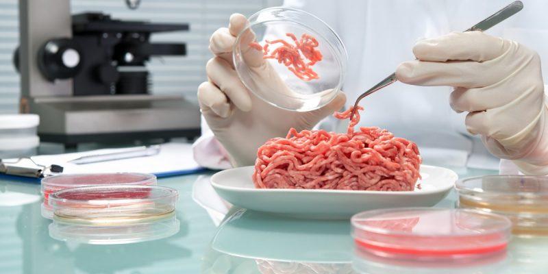 Yapay et için dünyanın birçok ülkesindeki laboratuvarlar çalışmalarını aralıksız sürdürüyor