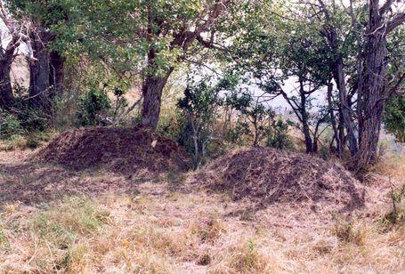Enver Paşa’nın Tacikistan’da, Çegen Tepesi’ndeki mezarı (soldaki tümsek) 1996’da kemiklerinin İstanbul’a nakli için açılmadan önce.jpg