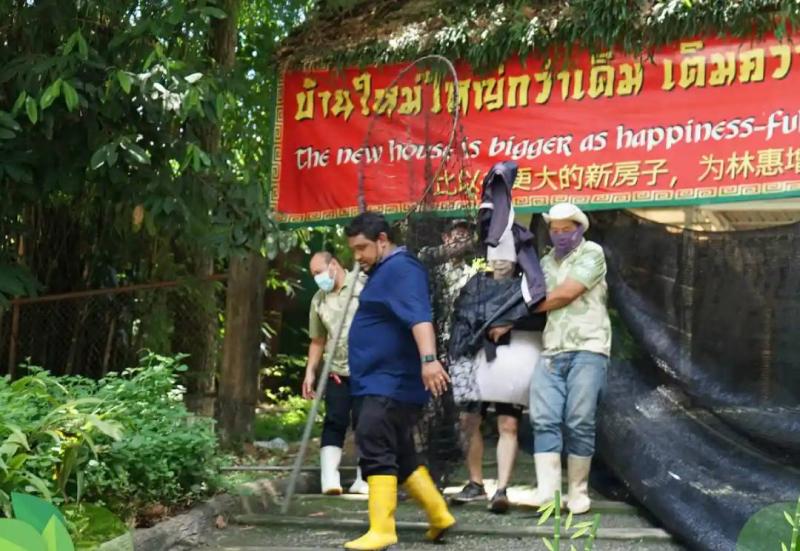 Hayvanat bahçesinde koşarak kaçmaya çalışan devekuşunu 4 görevli durdurdu (Facebook / Chiang Mai Hayvanat Bahçesi)