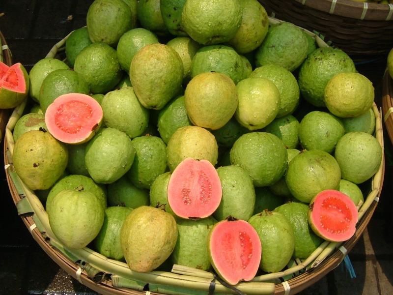 guava-tohumu-10-adet.jpeg