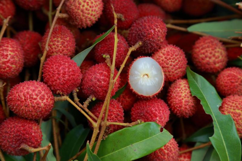 lychee-fruits.jpeg
