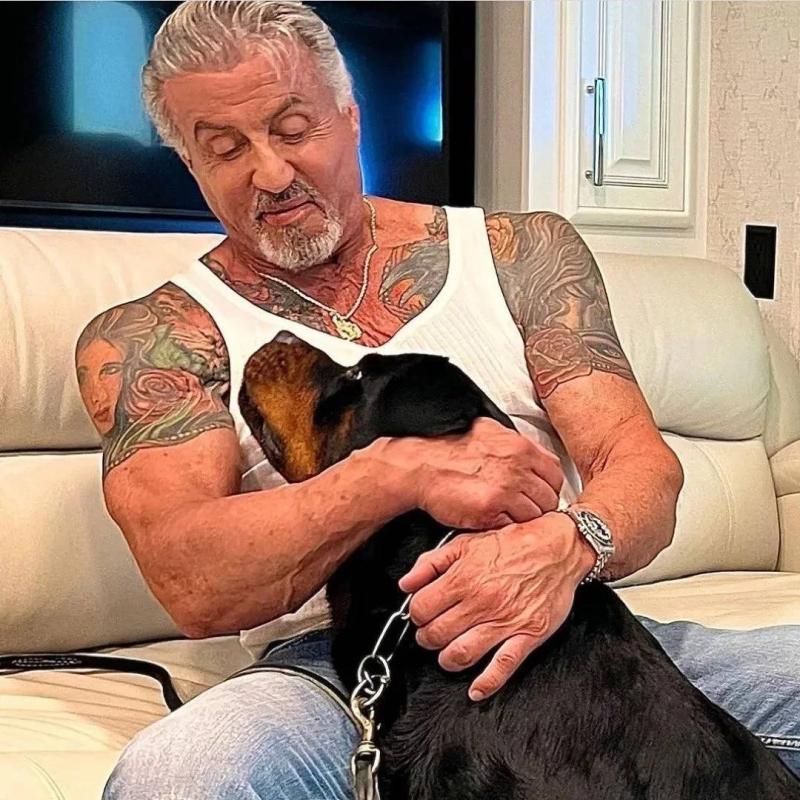Sylvester Stallone, eşinin dövmesini Rocky'de kendisine eşlik eden köpeği Butkus'la kaplattı (Instagram / Sylvester Stallone)