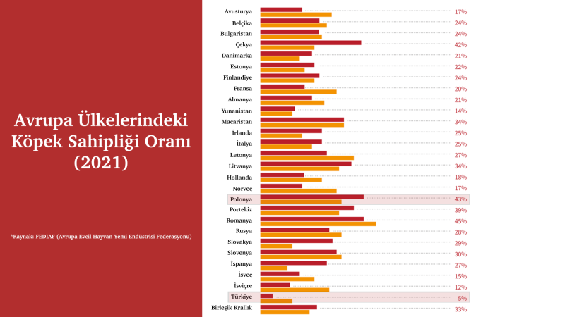 Köpek sahipliği (1).png