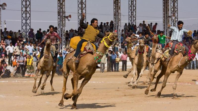 Pushkar Camel Fair.jpg