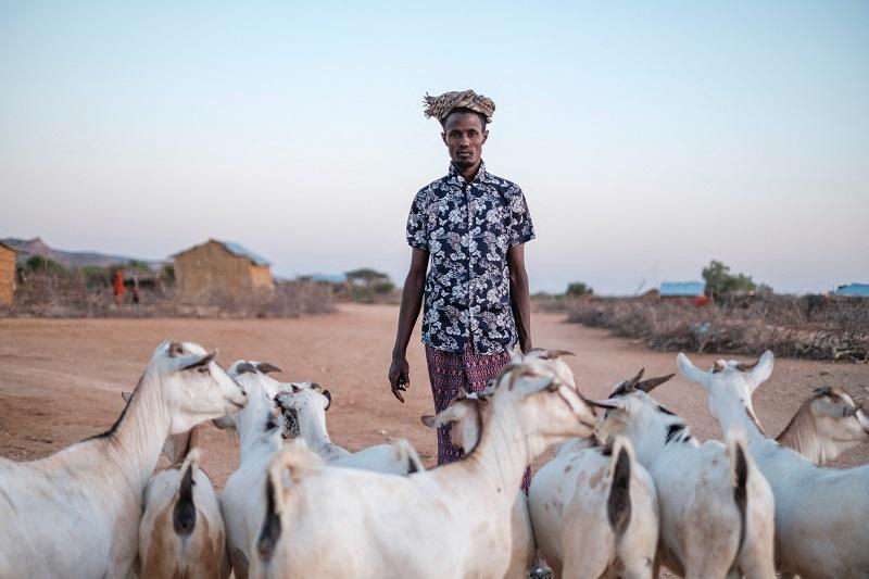 Etiyopya, Somali ve Kenya halkı temel olarak hayvancılık ve çiftçilik ile geçimini sağlıyor AFP.jpg