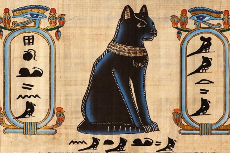 antik mısırda kediler.jpg