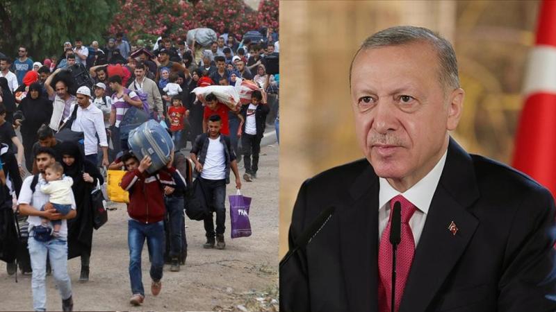 erdoğansığınmacı.jpg