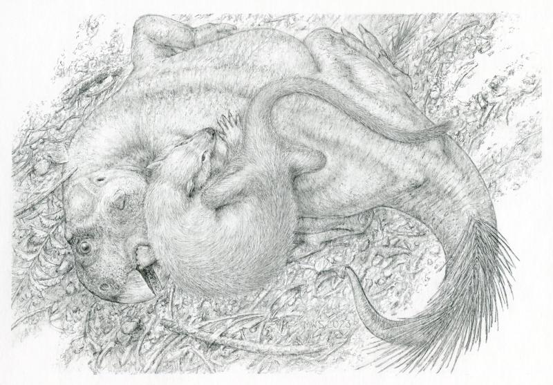 Psittacosaurus ve Repenomamus 