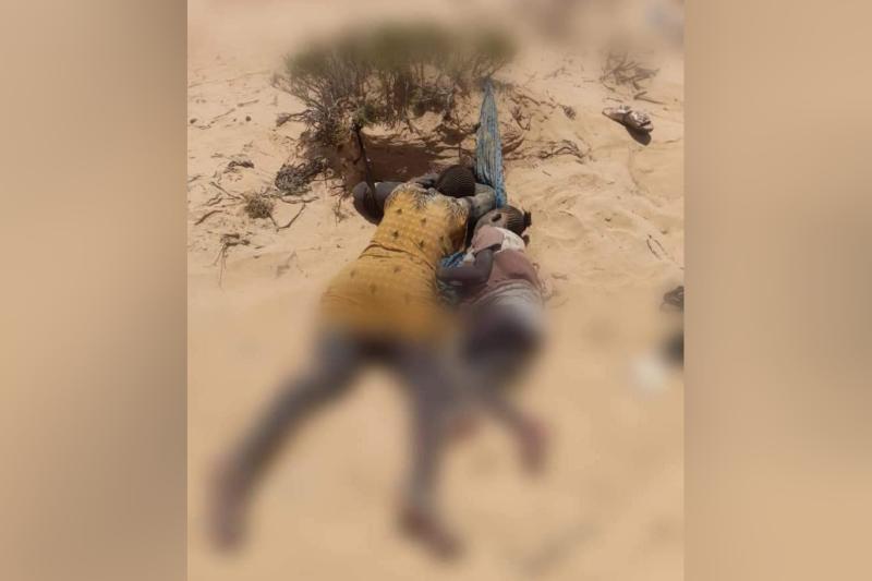 Bir kadın ve çocuğunun çölde açlık, susuzluk ve sıcaktan ölmesi (Libya Ulusal İnsan Hakları Komitesi resmi internet sitesi).jpg