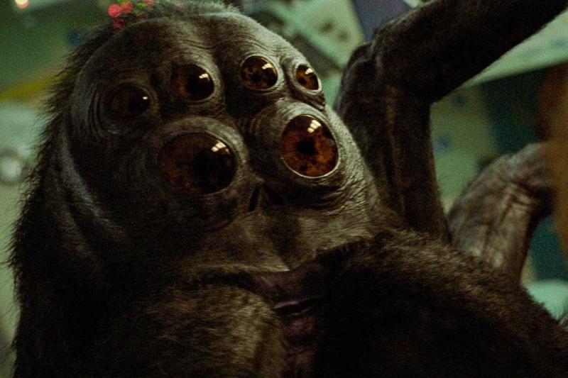 Örümcek
