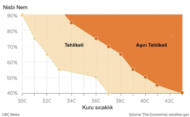 1-.jpg