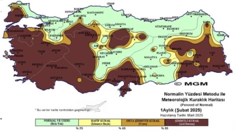 Şekil 5. Meteorolojik Kuraklık Haritası, Şubat 2025. 