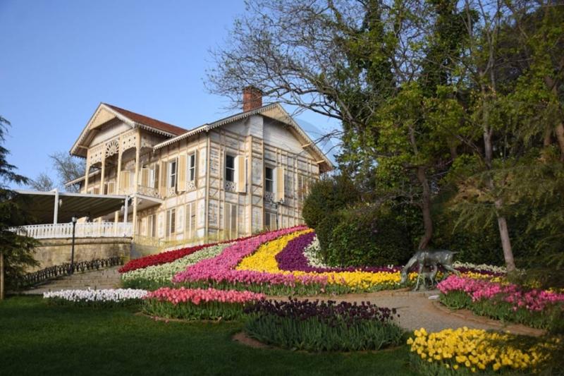 Emirgan Korusu