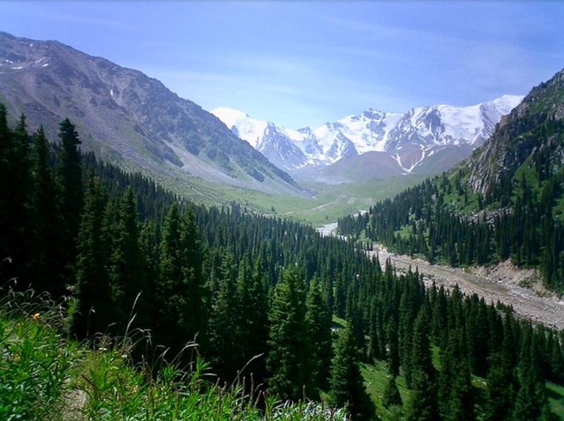 Tanrı Dağları (arşivimden)