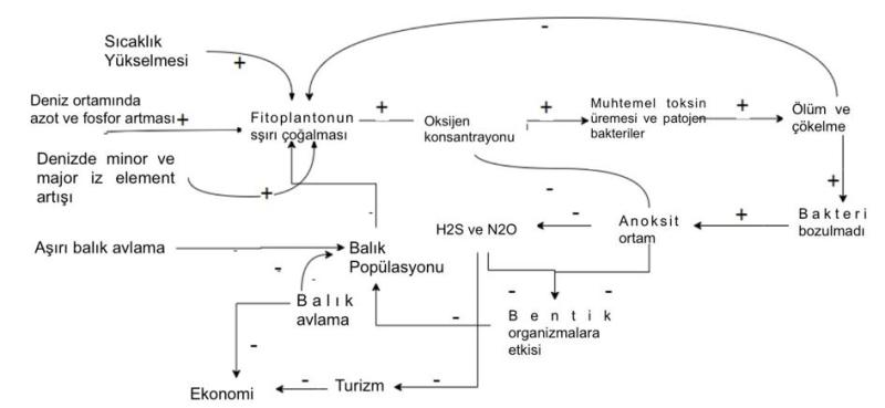 Şekil 1. Aşırı azot ve fosfor kirliliğinin etkileri