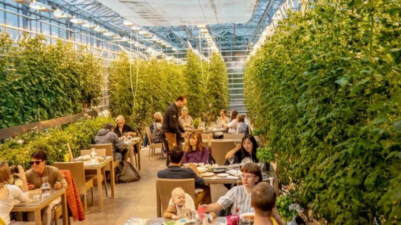 Tarladan Sofraya (Farm-to-table) Hareketi