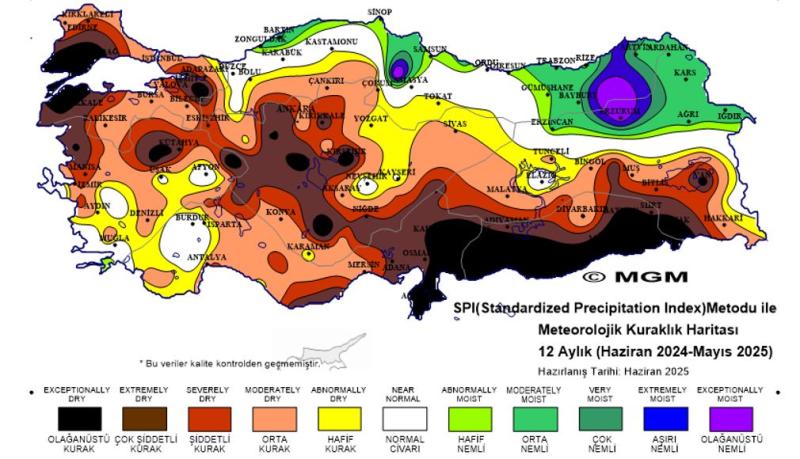 Şekil 1. Türkiye’de 12 aylık meteorolojik kuraklık