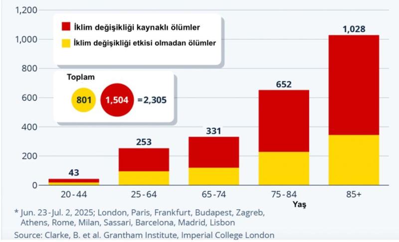 Şekil 2. Avrupa’nın 12 şehrinde yaş grubuna göre ısı dalgası kaynaklı ölüm 