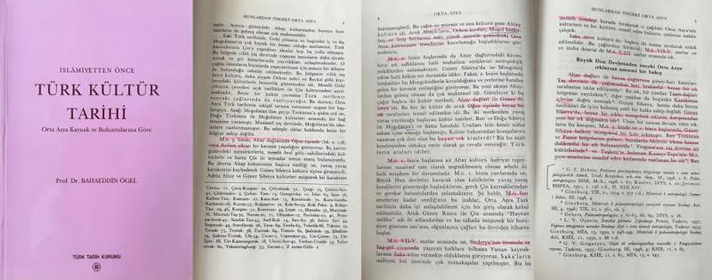 Görsel 9. Türk Irkı (Bahaeddin Ögel)