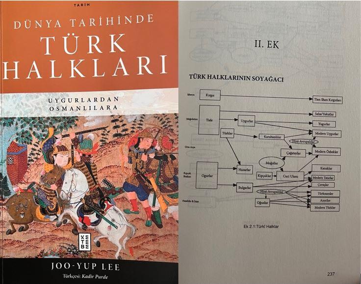 Görsel 14. Türk Halkları Soyağacı - Modern Türkler (Joo-Yup Lee)