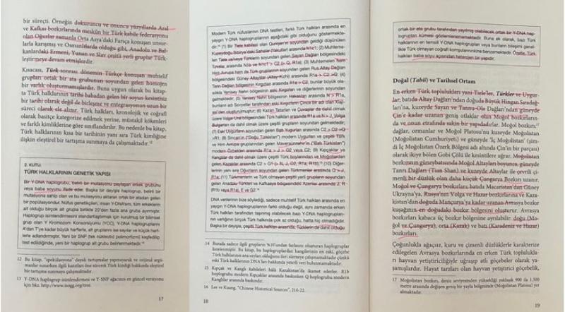 Görsel 15. Türk Halkları Soyağacı – Genetik Yapı (Joo-Yup Lee)