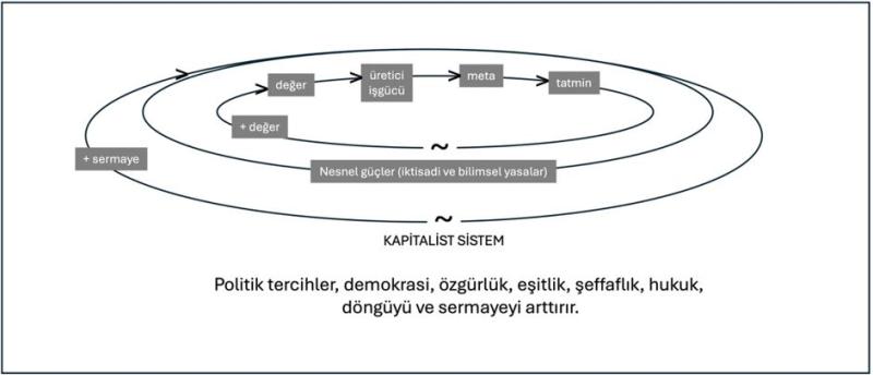Şekil 1. Kapitalist sistem