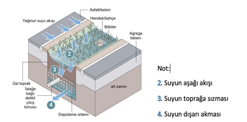 Şekil 3. Sünger kaldırımlar veya yağmur bahçeleri